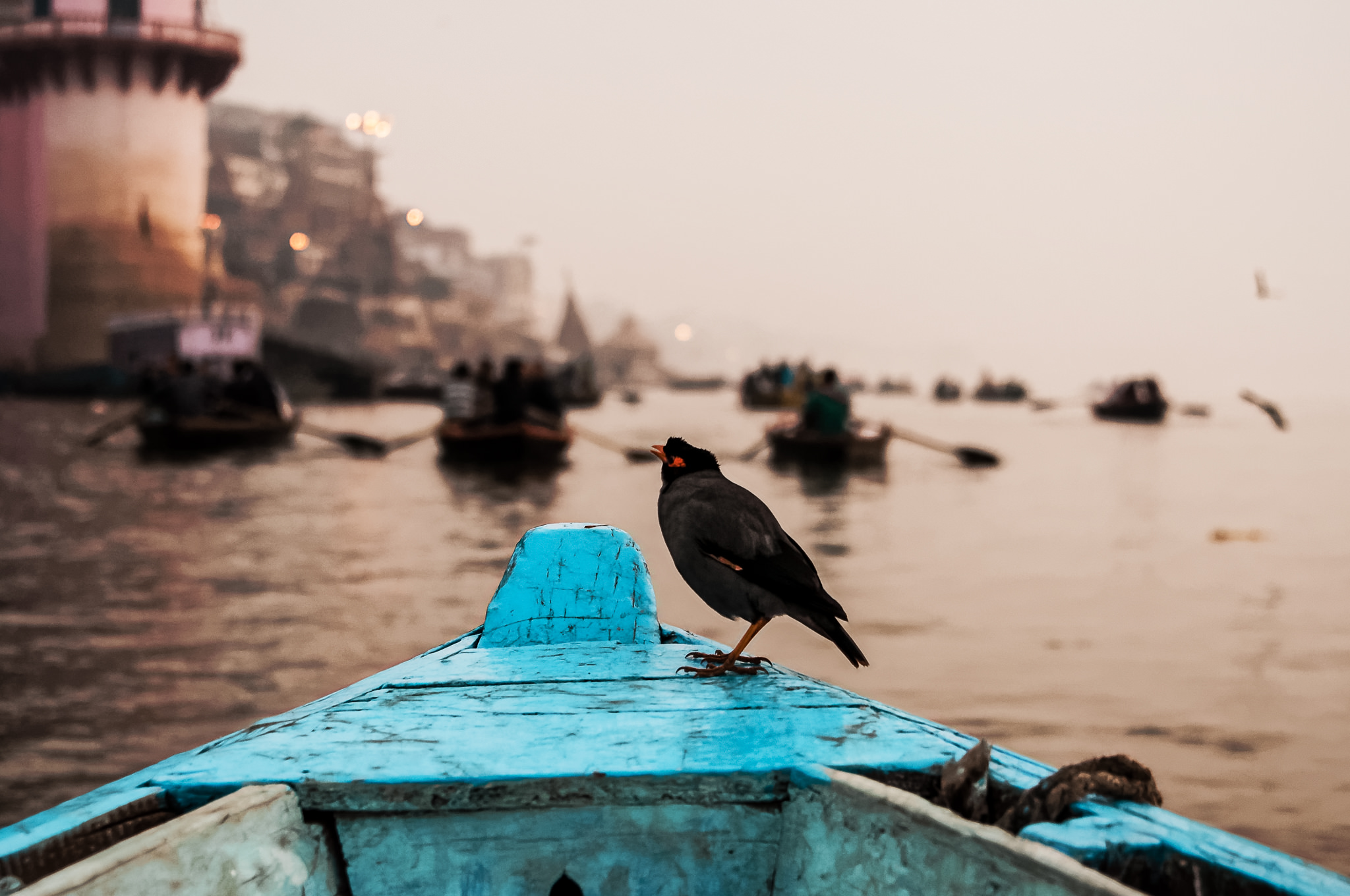 Ganges Boat Ride at Dawn